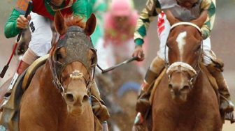 стратегия ставок на скачки