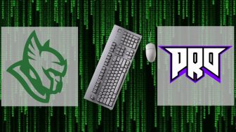 «Heroic» — «pro100». Прогноз на киберспорт 22.11.2018