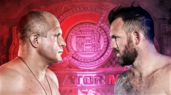 Емельяненко — Бейдер. Прогноз на поединок 27 января 2019. Финал гран-при Bellator в тяжелом весе.